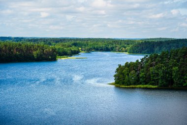 Scenic view of lake in Labanoro regional park