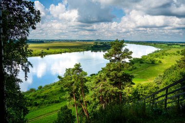 Litvanya 'daki nehir ve yeşil manzaranın manzarası