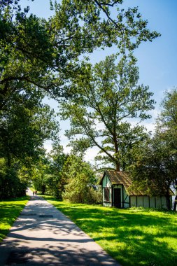 Litvanya 'da yeşil ağaçların arasından geçen yol