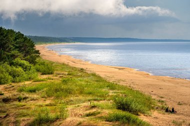 Letonya 'daki Saulkrasti yakınlarında kumsal manzarası