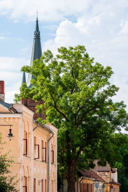 Kuldiga Letonya 'daki binaların yanındaki ağaç mavi gökyüzünün altında