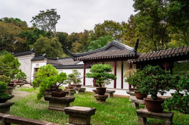 Çin Suzhou 'da bonsai ağaçlı geleneksel mimari