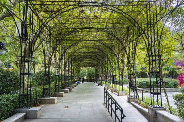 Fuxing Park Şangay 'daki yeşil kemer yoluna giden yol.