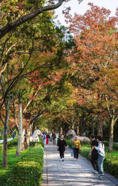 Nanjing Anıt Parkı 'nda yürüyen insanlar