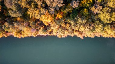 Korostorok nehri yakınlarındaki renkli ağaçların havadan görünüşü