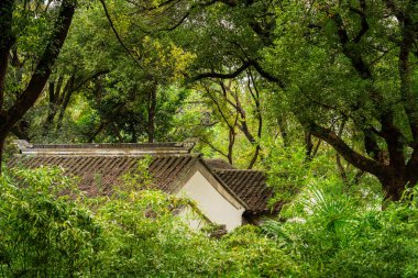 Pagoda, Çin 'in Suzhou bölgesinde yemyeşil ile çevrili.