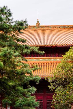 Hangzhou 'daki Jingci Tapınağı yeşil ağaçlarla çevrili.