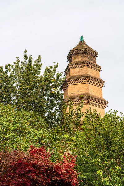 Kule ağaçlarla ve Xian yeşillikleriyle çevrili.