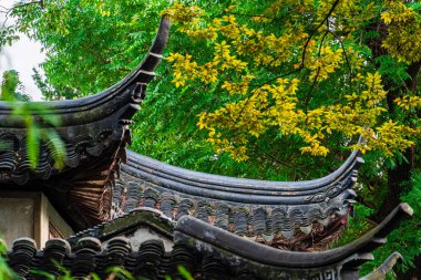 Çin 'deki Suzhou Bahçesinde geleneksel mimari