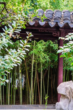 Suzhou Bahçesindeki geleneksel mimarinin arkasındaki bambu ormanı.