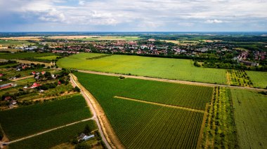 Siklos Macaristan yakınlarındaki yeşil tarlaların havadan görüntüsü