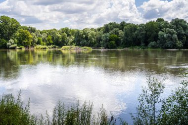 Drava Macaristan 'da ağaçları yansıtan sakin bir nehir