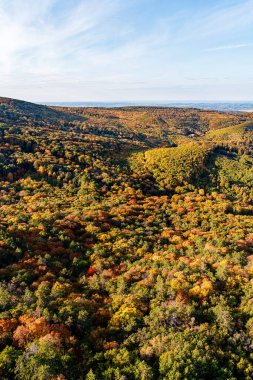 Mecsek Macaristan 'daki renkli ormanın havadan görünüşü