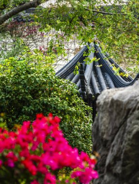 Suzhou 'daki Bahçede canlı çiçekler ve yeşillikler var.