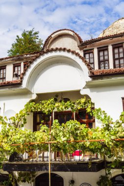 Bulgaristan 'da balkon ve yeşil sarmaşıklı beyaz bina