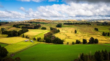 Okahune Yeni Zelanda 'daki yemyeşil alanlar