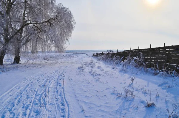 Bela Paisagem Inverno Com Campo Congelado — Fotografia de Stock