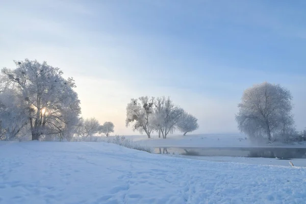 Idylliczna Śnieżna Zimowa Panorama Krajobrazu Drzewami Rzeką Mrozem Słońcem Zimowy — Zdjęcie stockowe