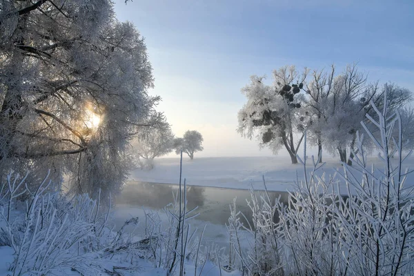 Idylliczna Śnieżna Zimowa Panorama Krajobrazu Drzewami Rzeką Mrozem Słońcem Zimowy — Zdjęcie stockowe