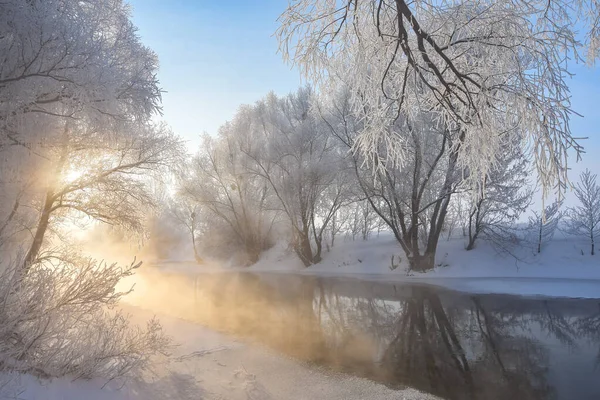 Idylliczna Śnieżna Zimowa Panorama Krajobrazu Drzewami Rzeką Mrozem Słońcem Zimowy — Zdjęcie stockowe