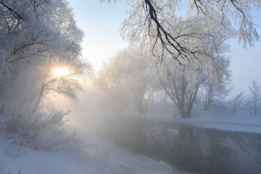 Idyllic karlı kış manzarası ağaçlar, nehir, yoğun stok ve güneş manzarası. Kış gündoğumu, güneş karla kaplı ağaçların arasında parlıyor.