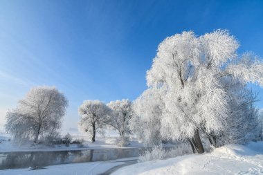Idyllic karlı kış manzarası ağaçlar, nehir, yoğun stok ve güneş manzarası. Kış gündoğumu, güneş karla kaplı ağaçların arasında parlıyor.