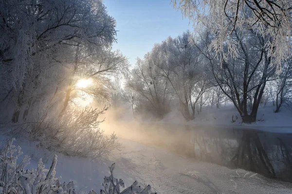 Idylliczna Śnieżna Zimowa Panorama Krajobrazu Drzewami Rzeką Mrozem Słońcem Zimowy — Zdjęcie stockowe