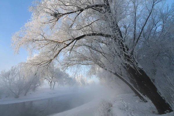Idyllic Snowy Winter Landscape Panorama Trees River Heavy Hoarfrost Sun — Stock Photo, Image
