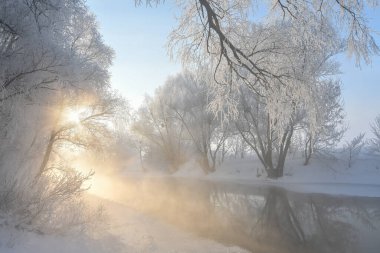 Idyllic karlı kış manzarası ağaçlar, nehir, yoğun stok ve güneş manzarası. Kış gündoğumu, güneş karla kaplı ağaçların arasında parlıyor.