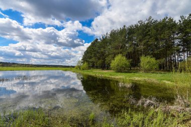 Ağaçlı bahar manzarası, göletin su yüzeyine yansıyan bulutlu mavi gökyüzü.