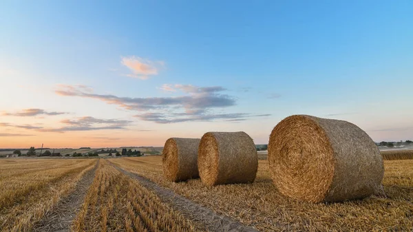 Amazing Agricultural Scenery Straw Bales Field Sunset Golden Hour Selective — Stock Photo, Image