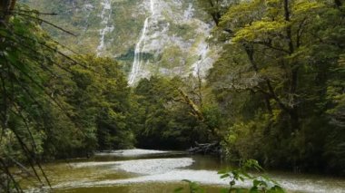 Clinton Nehri ile Hirere Falls
