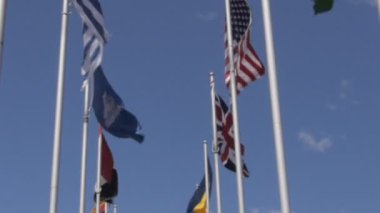 BM'nin bayraklarını