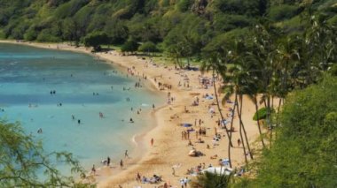 plaj ve resif popüler dalış yeri, hanauma bay kapatın