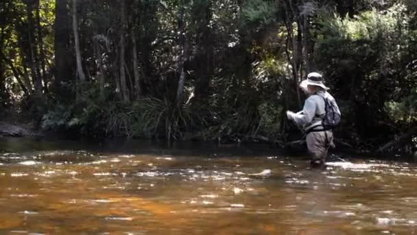 一个渔夫在一条小塔斯马尼亚河上投了一只飞竿 — 图库视频影像
