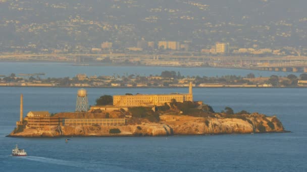 Alcatraz close-up — Stockvideo