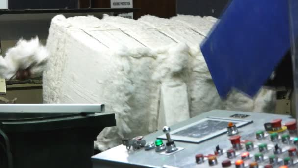 Paca de algodón procesado en una cinta transportadora — Vídeos de Stock