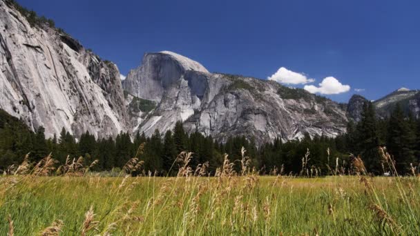 Half dome from a meadow — Stock Video