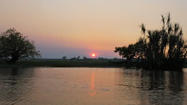 Corroboree billabong sunset — Stock Video