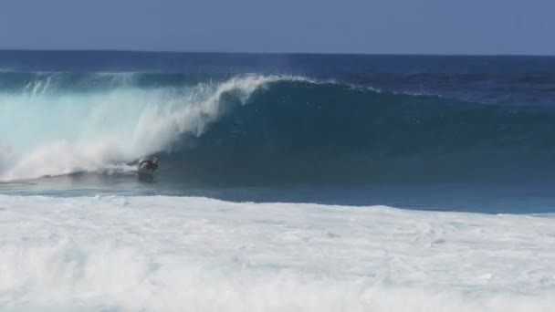 ハレイワ アメリカ合衆国アメリカの 2015 ボディボーダー大きな波に乗るし オアフ島の北海岸にパイプラインでスピンを実行 — ストック動画