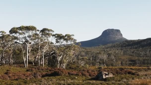 Barn Bluff na trilha terrestre da Tasmânia — Vídeo de Stock
