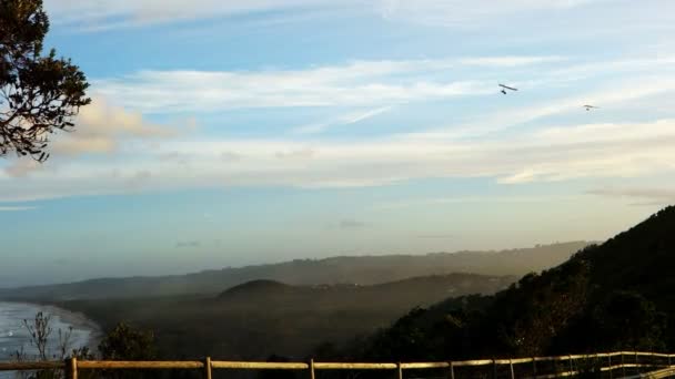 Hang gliders at byron bay — Stock Video