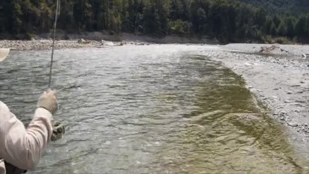 Pescador anzuelos trucha en río — Vídeo de stock