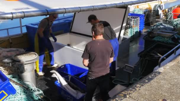 Hobart Australia April 2015 Deckhand Unloads Large Shark Carcass Hold — Stock Video