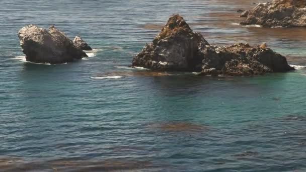 Baleines migratrices à big sur — Video