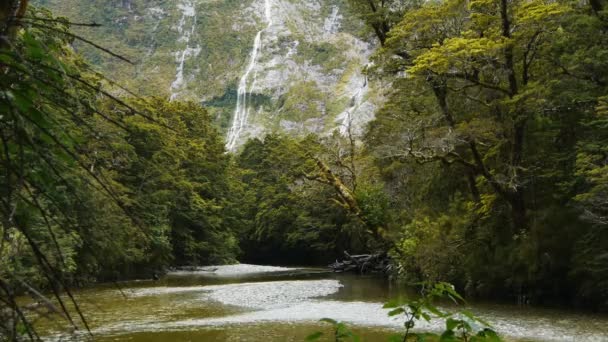 Clinton rzeki z Hirere Falls — Wideo stockowe