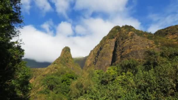 La aguja iao de Maui — Vídeo de stock