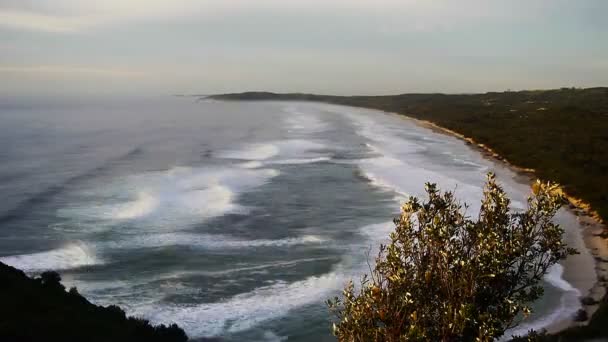 Ondas quebrando na praia de sedimentos — Vídeo de Stock