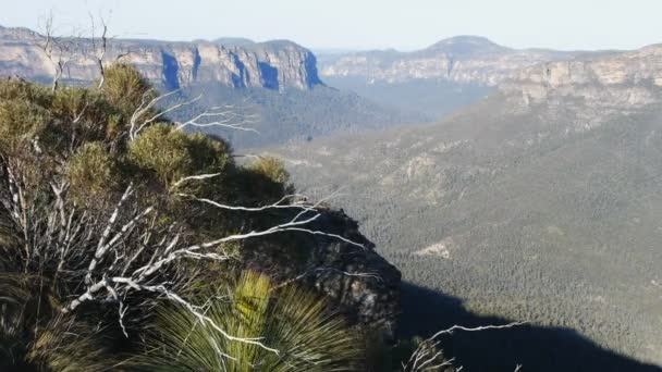 Grose vallée dans les montagnes bleues — Video