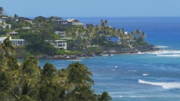 Hawaii's ke'ahamoe bay — Stock Video